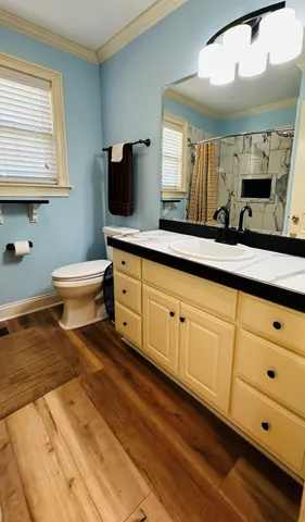 a bathroom with a toilet a sink and mirror