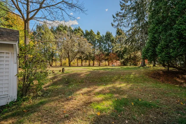 a view of a field with an trees