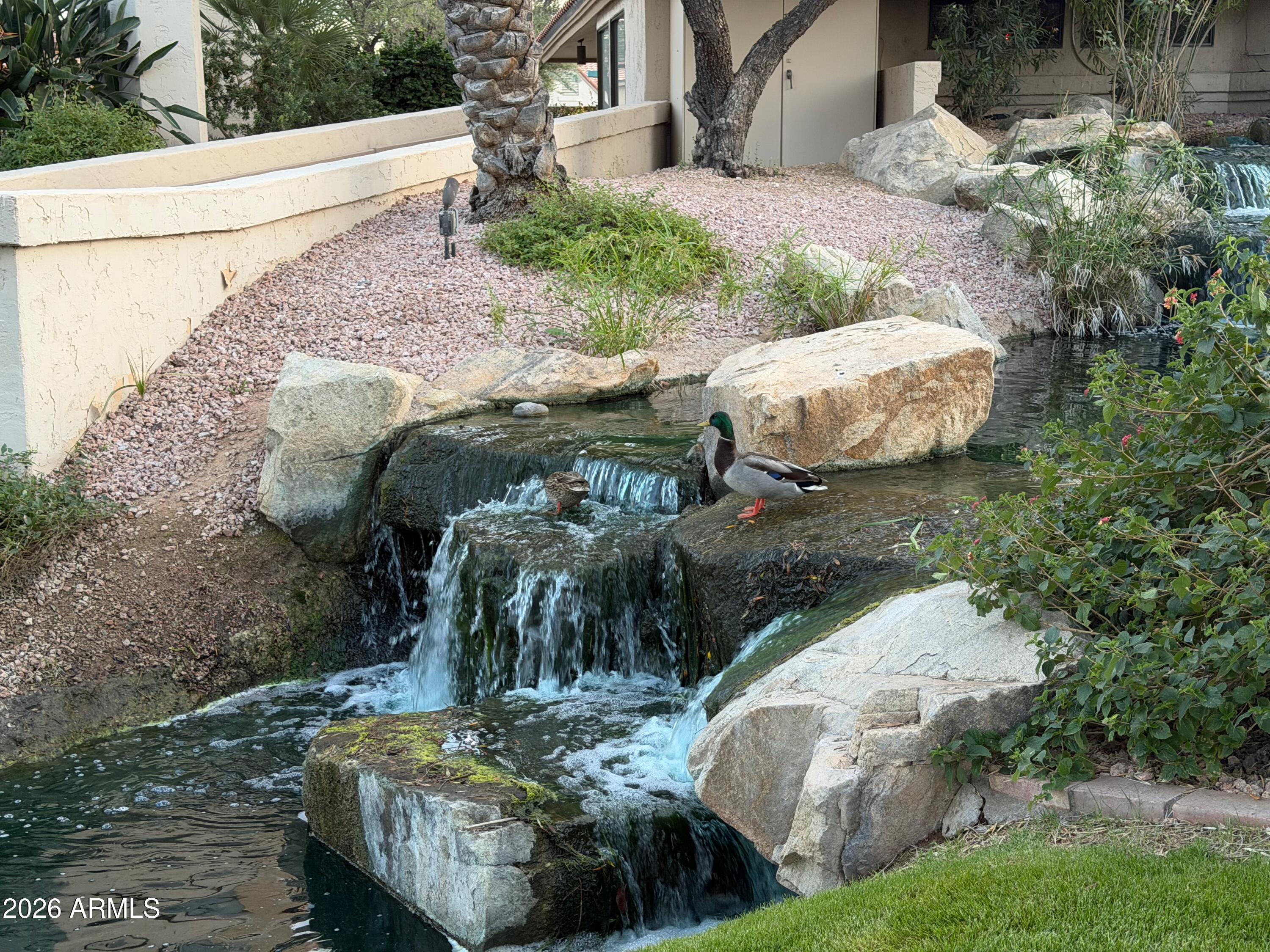 9705 East Mountain View Road, Unit 1126 Scottsdale, AZ 85258 - Photo 31 of 33 a view of an outdoor space