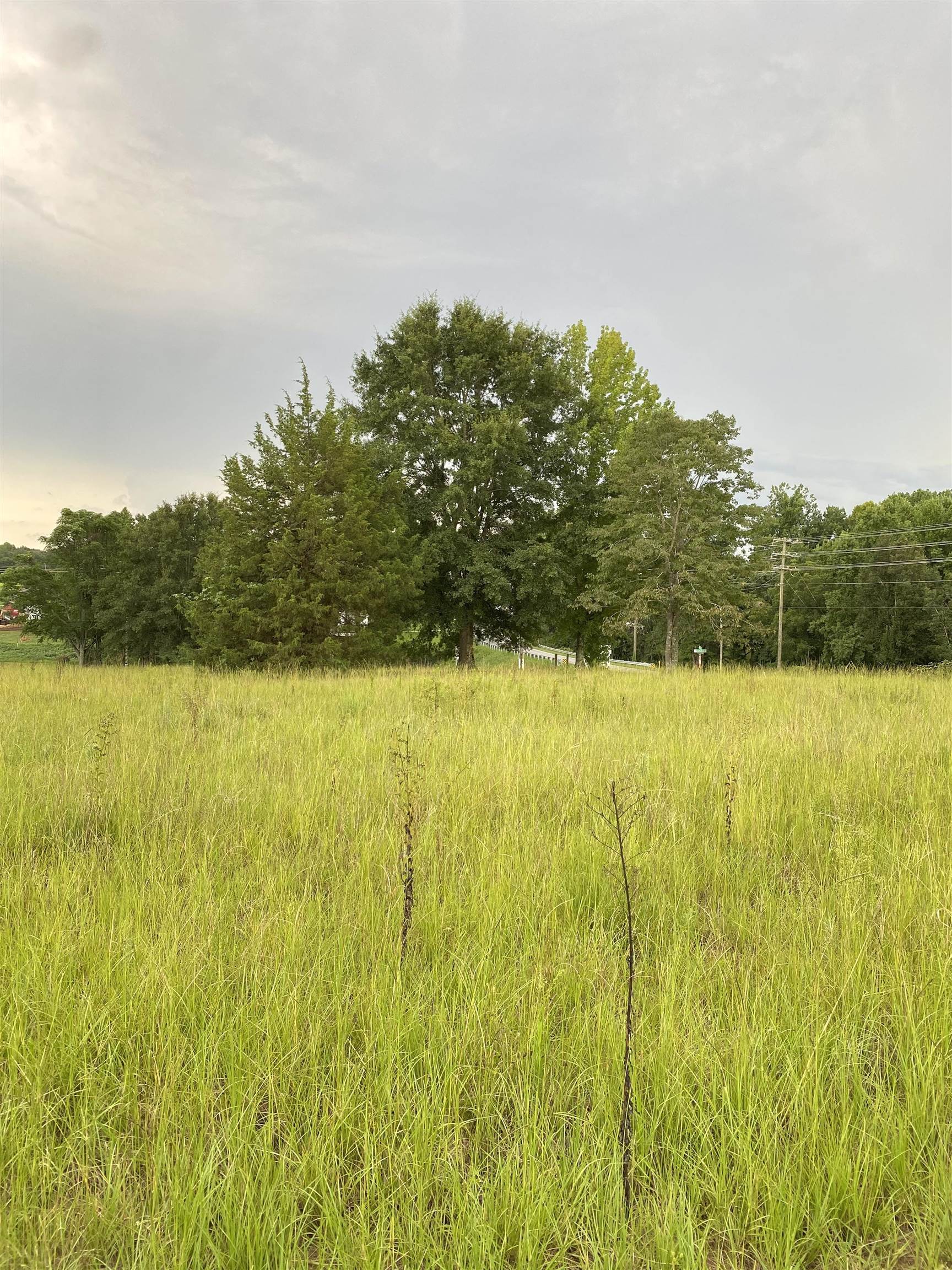 0 Parris Bridge Road Chesnee, SC 29323 - Photo 2 of 3 Gallery Image 2