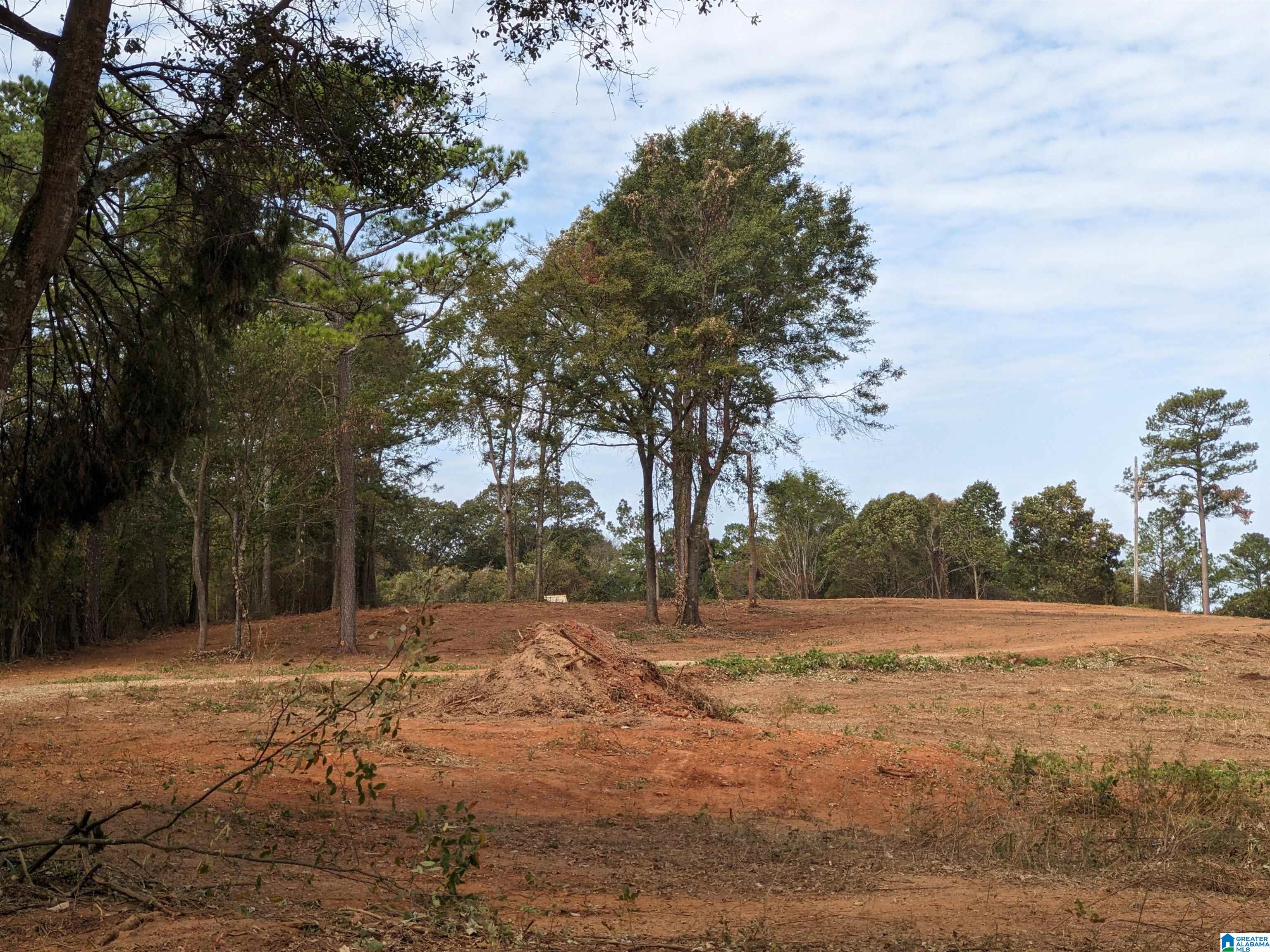 16091 Jackson Trace Road Lincoln, AL 35096 - Photo 5 of 17