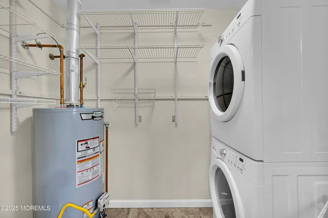 a view of a backyard with plants and large trees