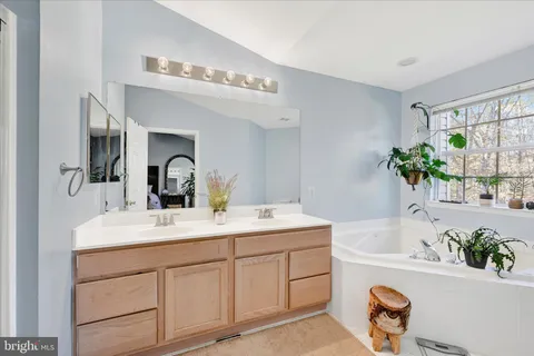 a bathroom with a sink a faucet a potted plant and a mirror