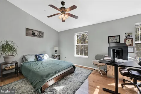 a bedroom with a bed a couch and a potted plant