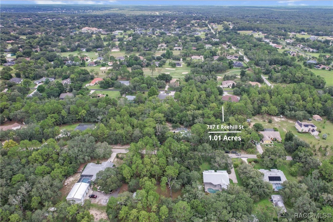 787 East Reehill Street Lecanto, FL 34461 - Photo 4 of 10 Aerial