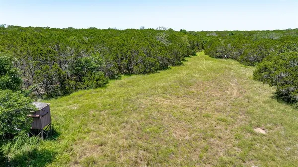 a view of a big yard with lots of green space