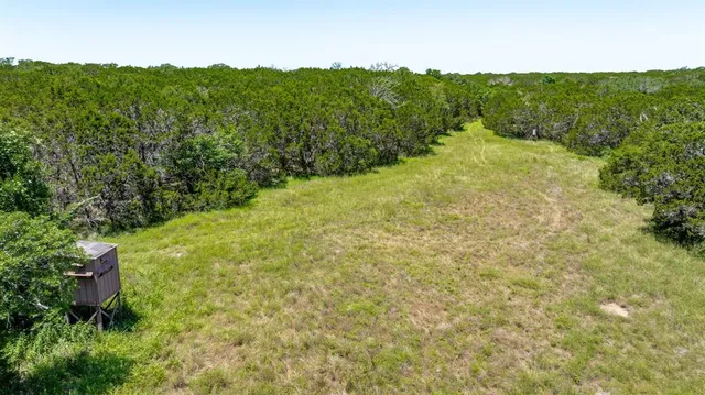 a view of a big yard with lots of green space