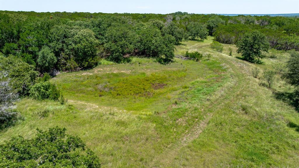 1340 County Road 189 Jonesboro, TX 76538 - Photo 37 of 39 a view of a lush green forest with trees and some houses