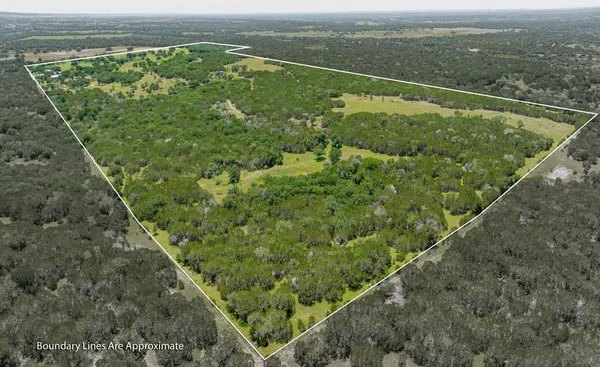 a view of a lush green field