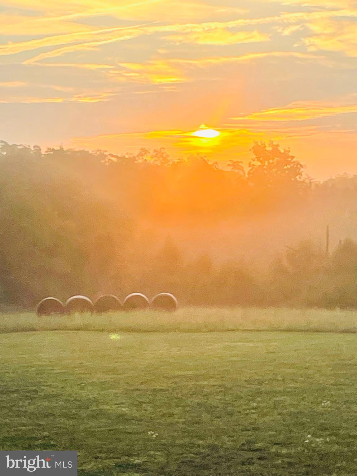 1015 Redbud Road Winchester, VA 22603 - Photo 6 of 7