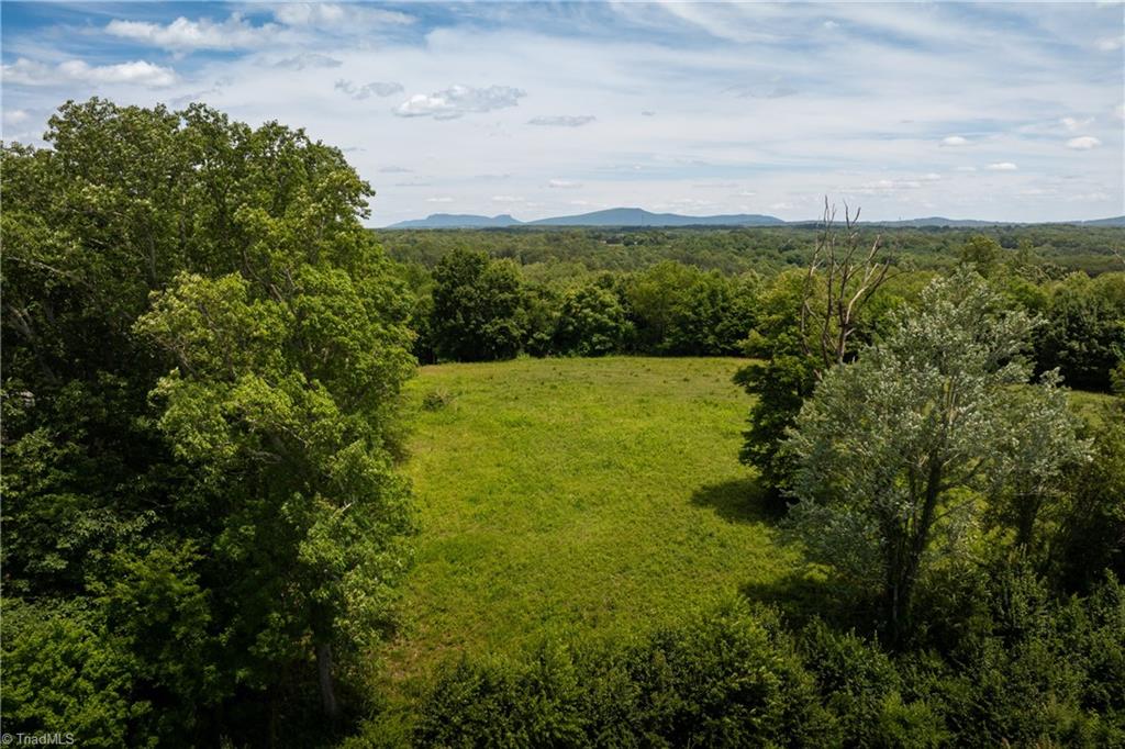 309 Ararat Longhill Road Pilot Mountain, NC 27041 - Photo 27 of 34