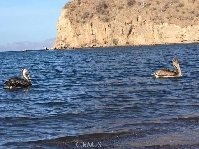 a view of an chairs and tables in patio