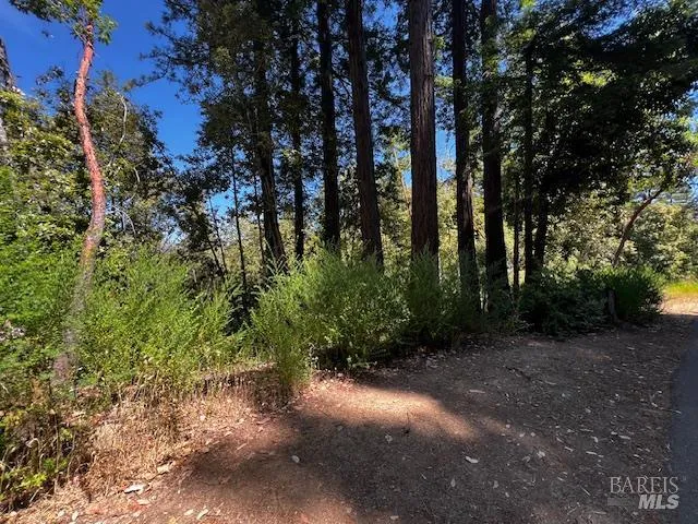 a view of outdoor space and trees