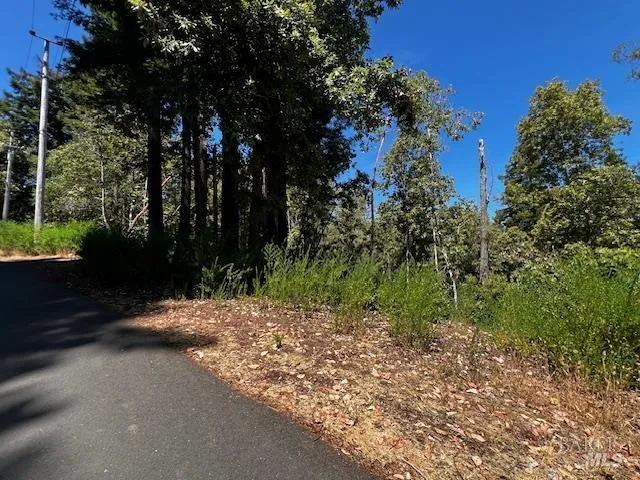 a view of a street with a tree