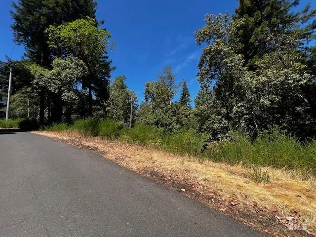 a view of a yard with a tree