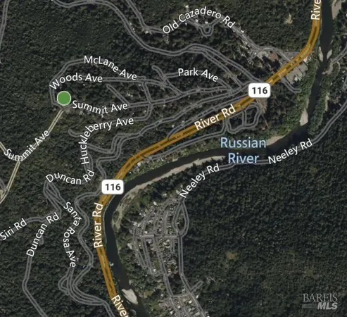 a close up of a tree