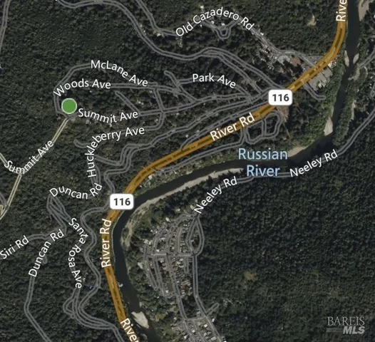 a close up of a tree