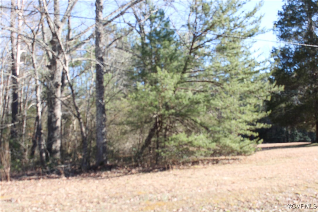 7440 Courthouse Road Providence Forge, VA 23140 - Photo 2 of 5 View of local wilderness