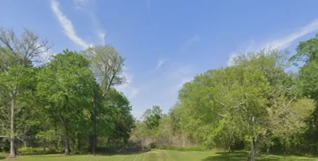 a backyard of a house with lots of green space and trees