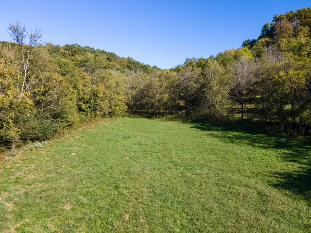 a view of a yard with trees