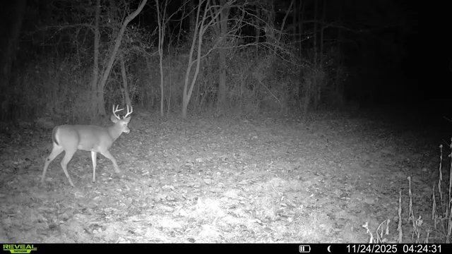 a view of outdoor space