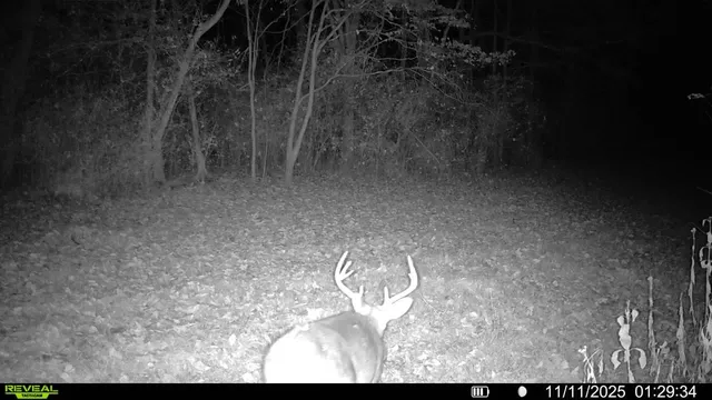 a view of a room with floor to ceiling fan