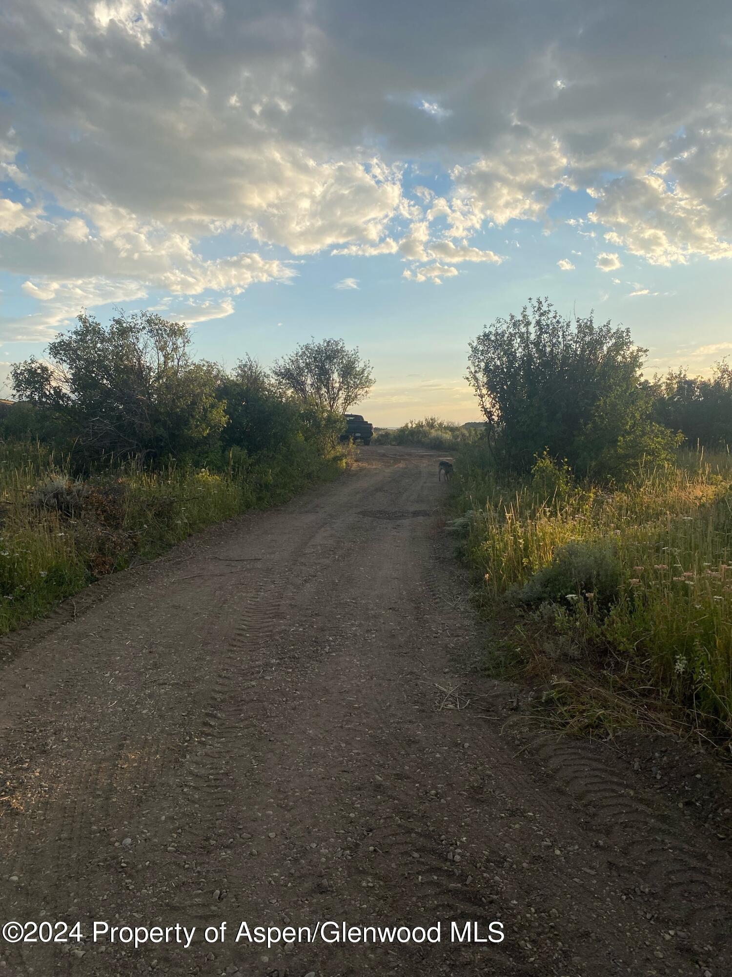 242 Boulder Drive Craig, CO 81625 - Photo 12 of 47 a view of a pathway both side of river next to a yard