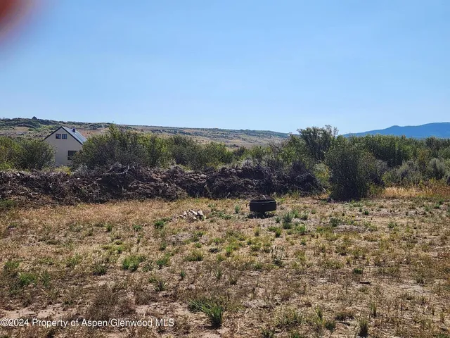 a view of a yard with a tree