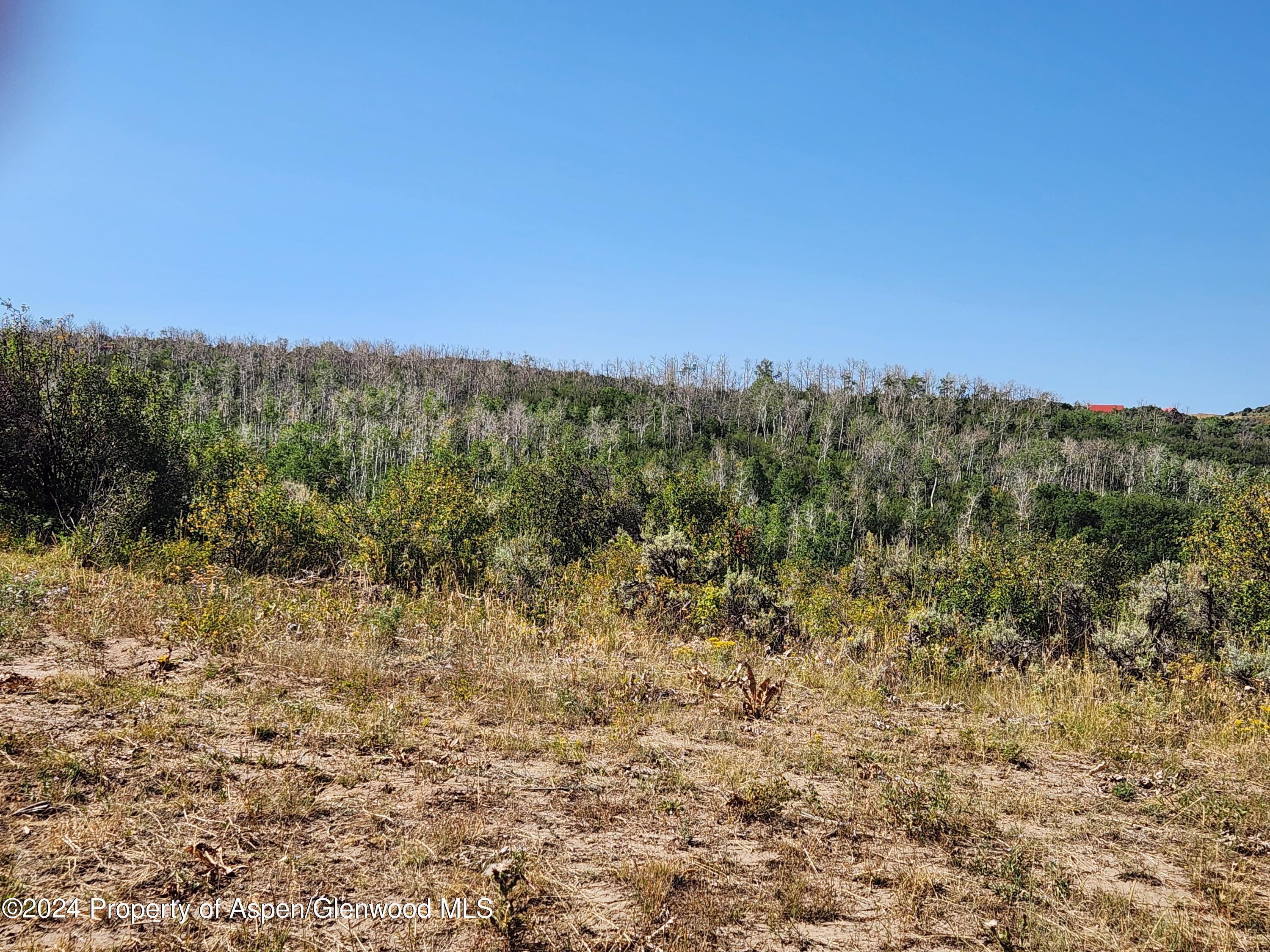 242 Boulder Drive Craig, CO 81625 - Photo 21 of 47 a view of a yard with a tree