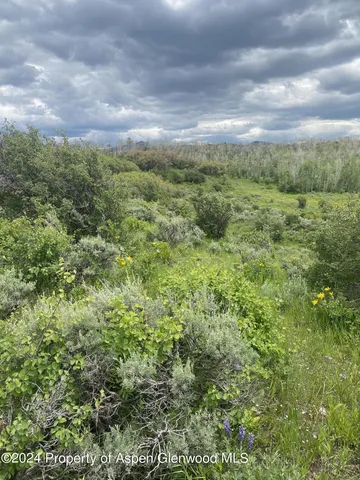 a view of a green field with lots of bushes