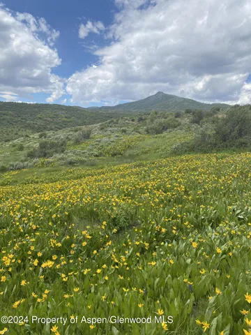 a view of a lake in middle of forest