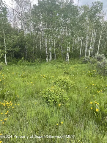 a view of mountain view