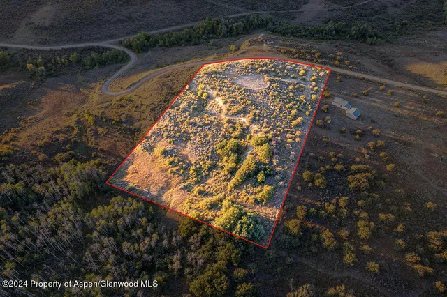 a view of a yard with a pathway