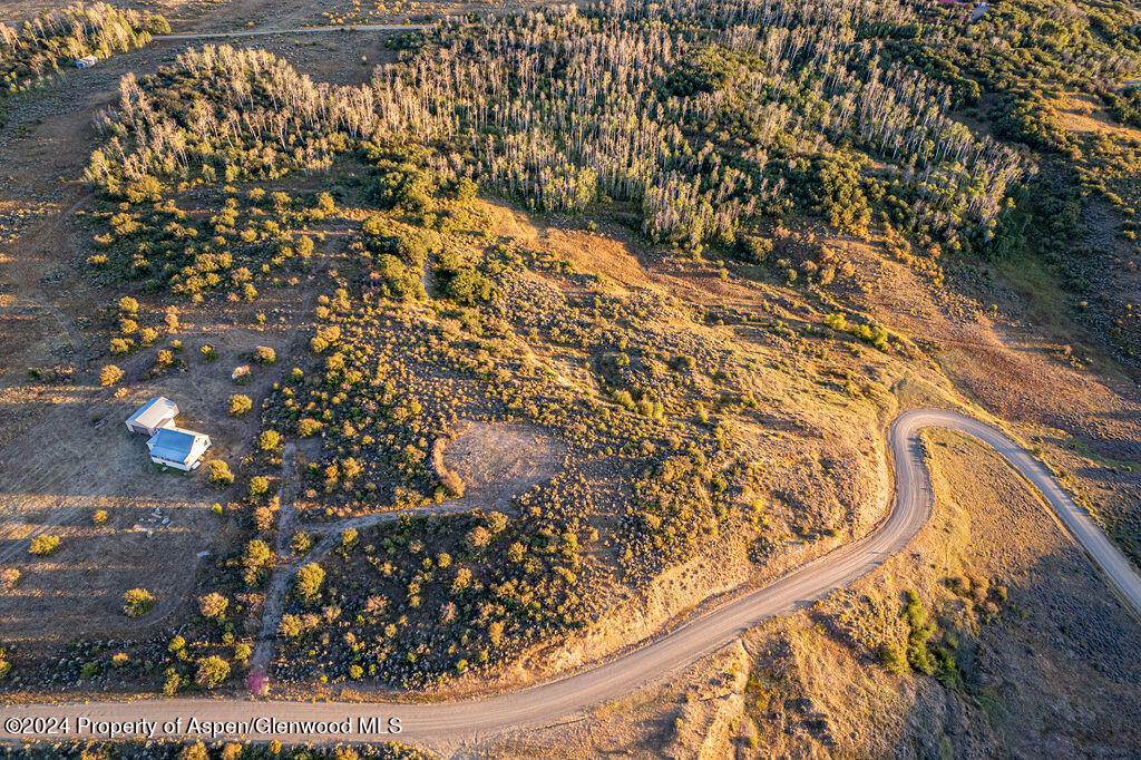 242 Boulder Drive Craig, CO 81625 - Photo 40 of 47 a picture of a tree