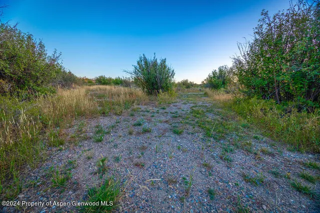 a view of a dry field