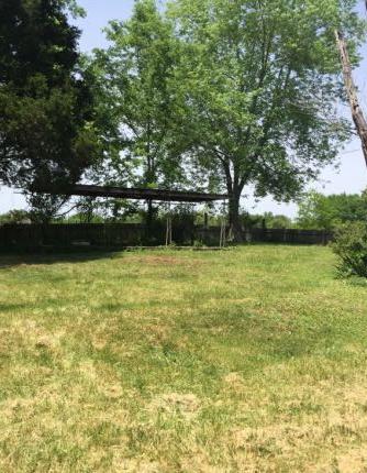 5605 Maloneyville Road Corryton, TN 37721 - Photo 3 of 11 BACKYARD