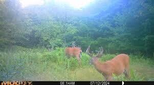 7014 Organ Creek Road Pendleton, KY 40055 - Photo 45 of 49 Wildlife