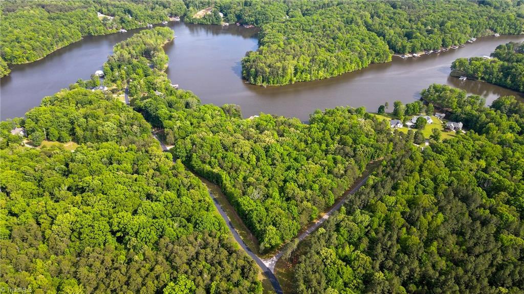 Lot 18 Black Angus Road Leasburg, NC 27291 - Photo 6 of 9