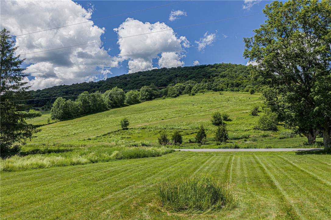 1780 Roses Brook Road Stamford, NY 13788 - Photo 35 of 47