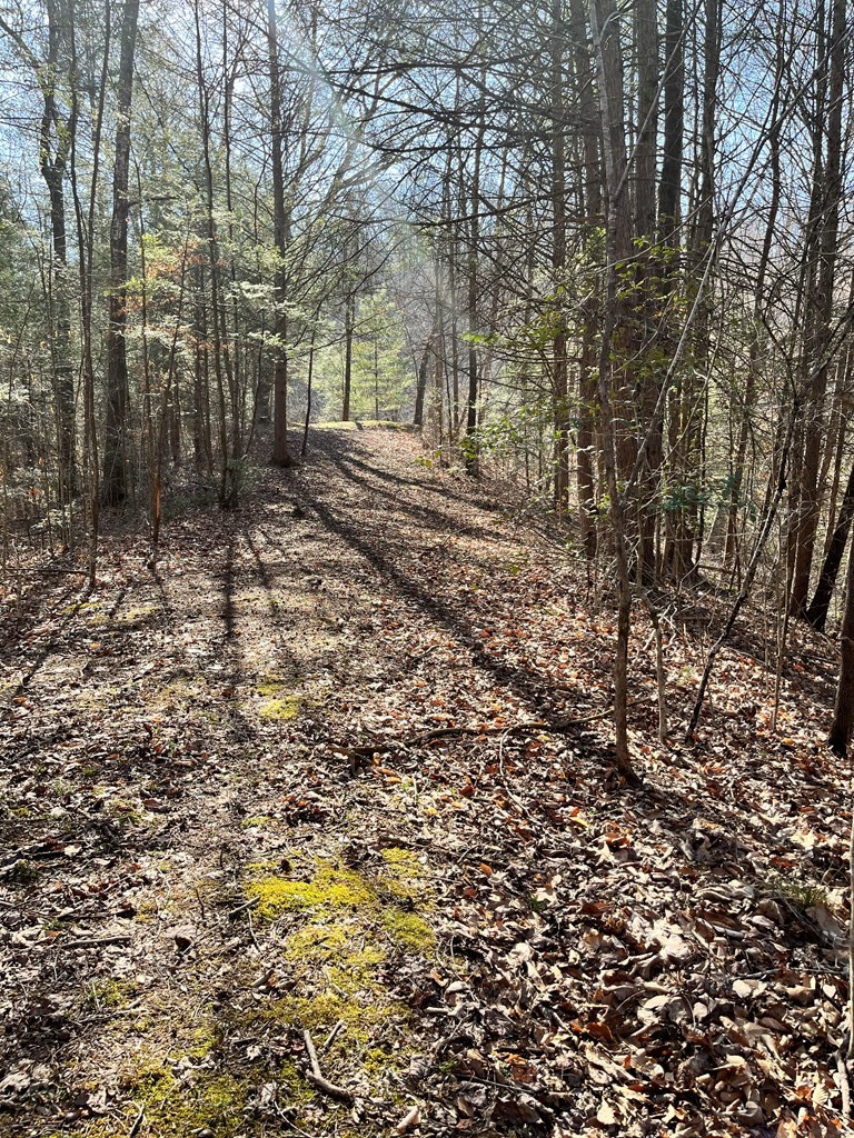 0 Ruth Lane Sevierville, TN 37862 - Photo 9 of 11