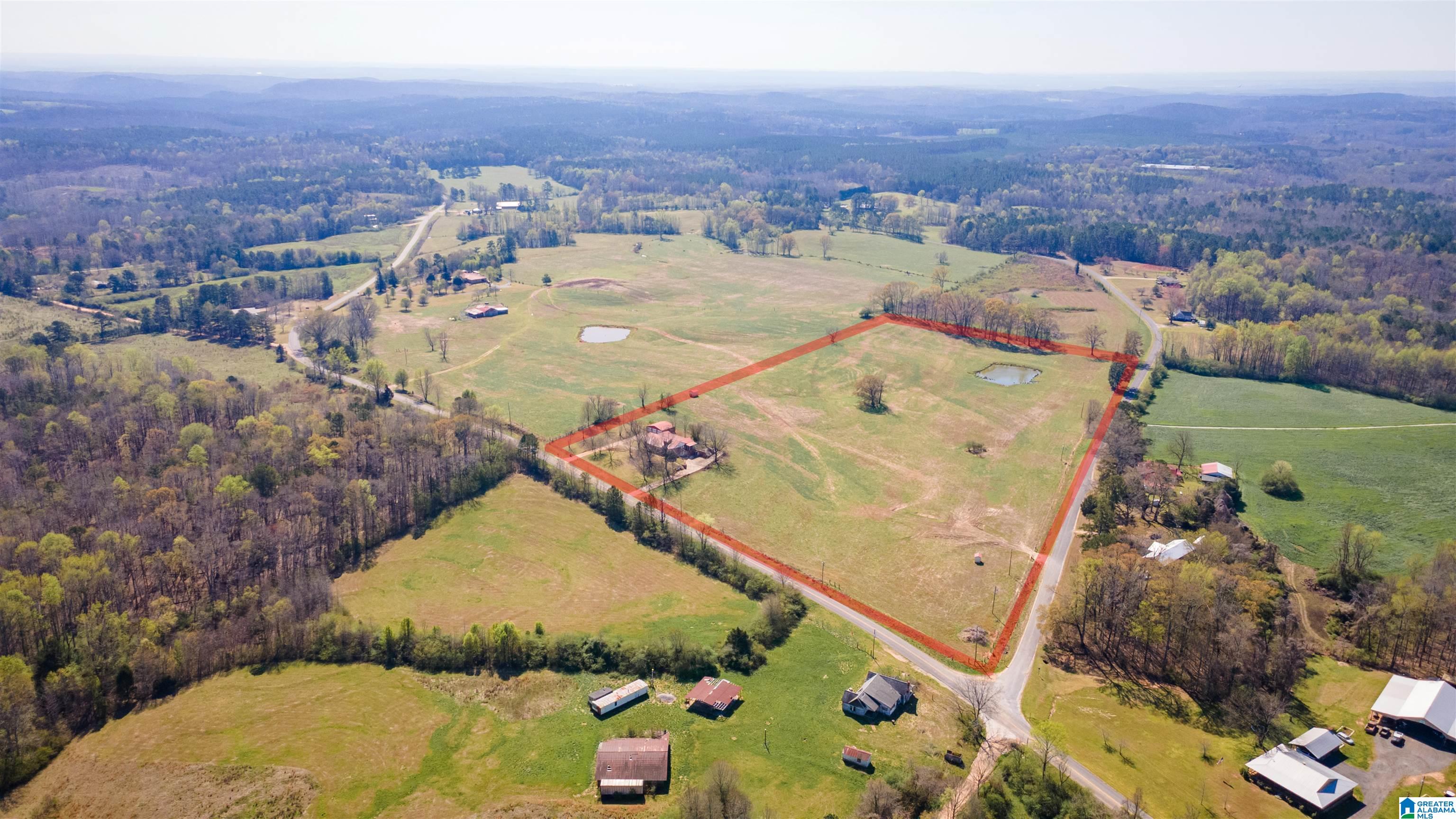 2534 Foster Road Delta, AL 36258 - Photo 2 of 20 Gallery Image 2
