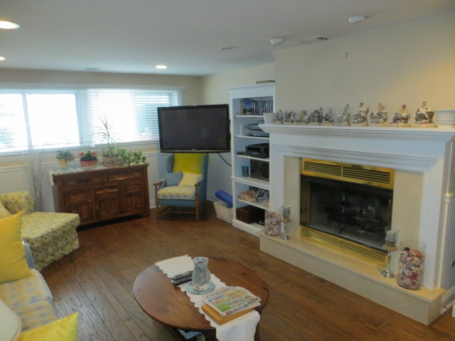 131 East Millers Road Des Plaines, IL 60016 - Photo 5 of 10 a living room with furniture and a fireplace