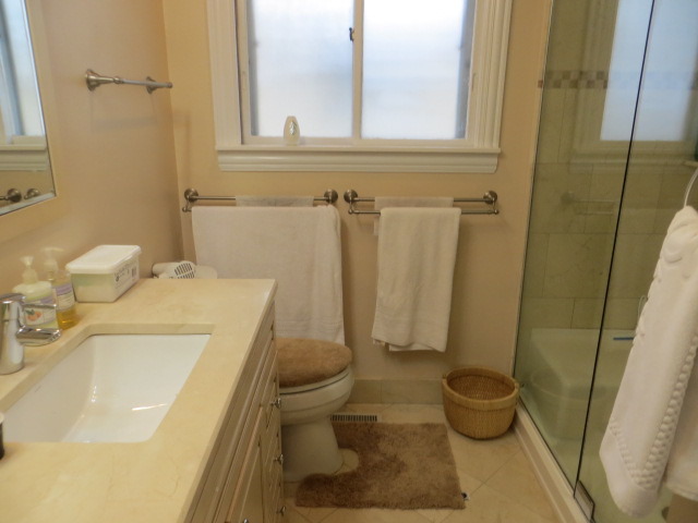131 East Millers Road Des Plaines, IL 60016 - Photo 7 of 10 a bathroom with a sink and a toilet
