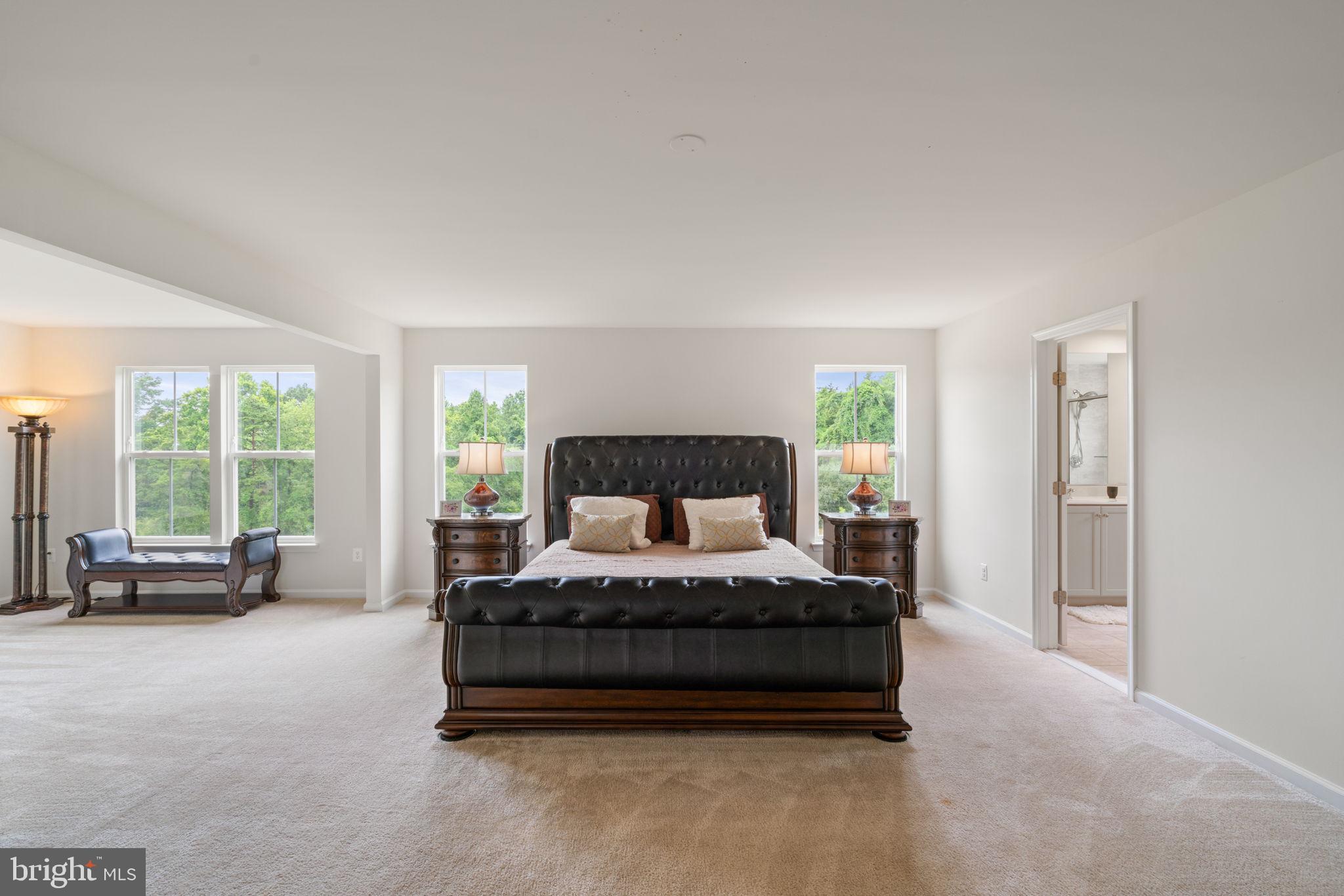 8134 Skystone Loop Manassas Park, VA 20111 - Photo 19 of 33 Primary Bedroom