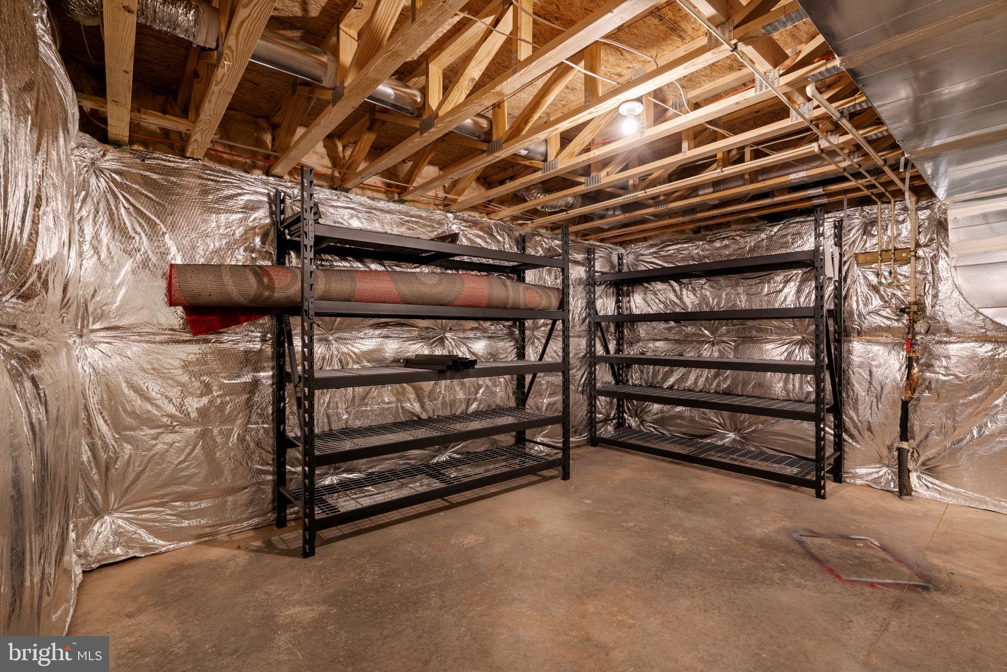 8134 Skystone Loop Manassas Park, VA 20111 - Photo 30 of 33 Basement storage room