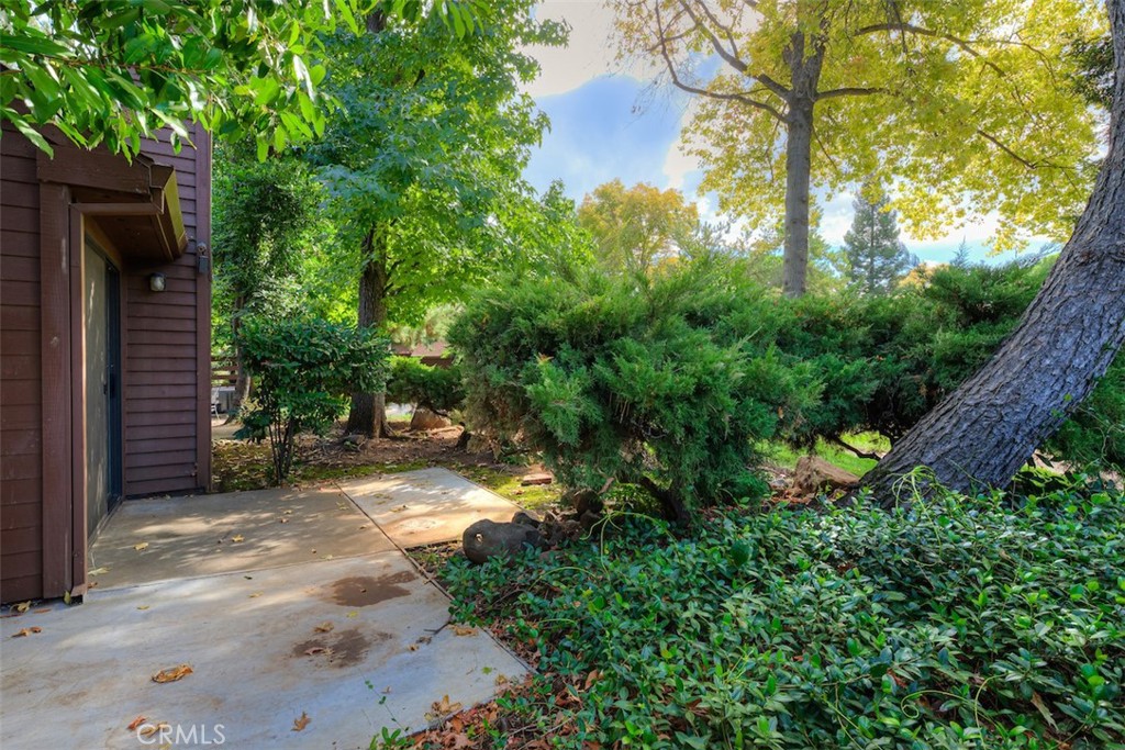 2910 Pennyroyal Drive Chico, CA 95928 - Photo 28 of 41 a view of a pathway with a tree