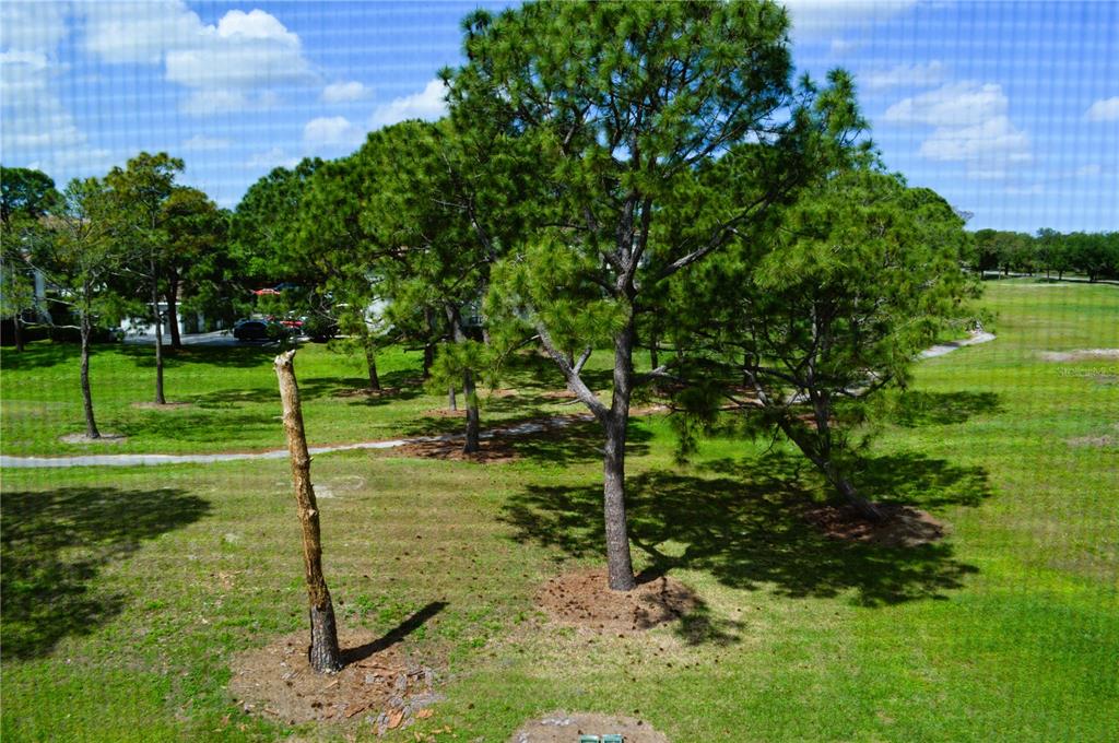13500 Turtle Marsh Loop, Unit 832 Orlando, FL 32837 - Photo 39 of 44