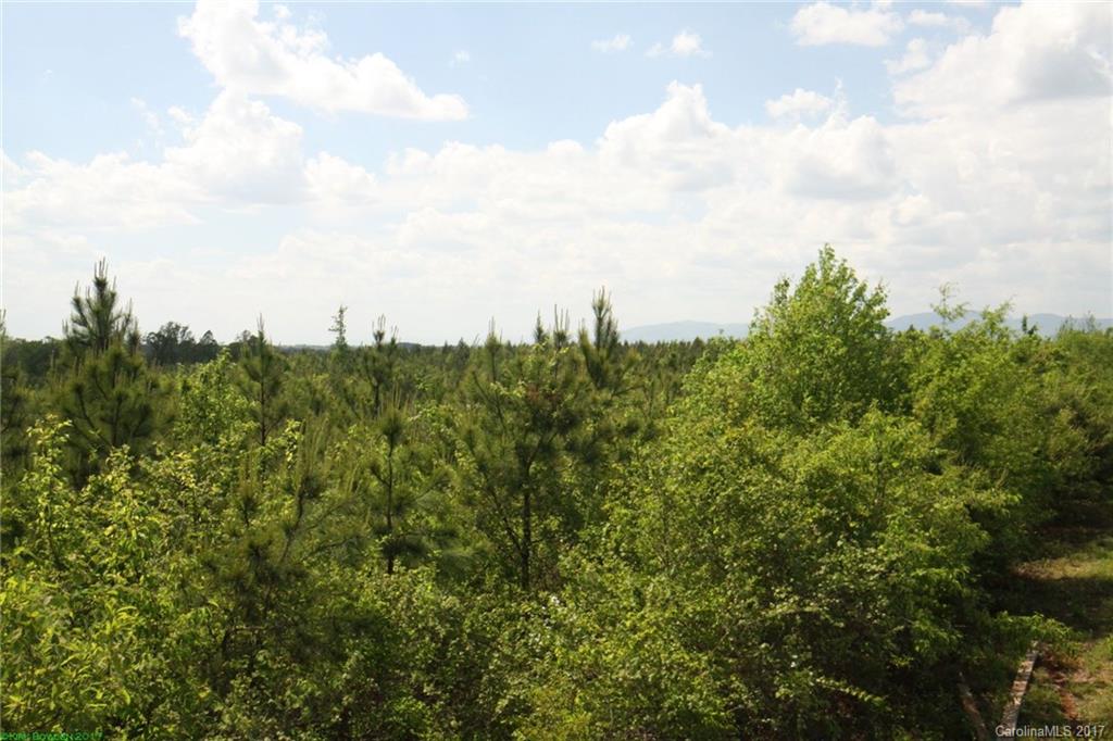 0 Brass Rail Road, Unit 4 Inman, SC 29349 - Photo 5 of 7