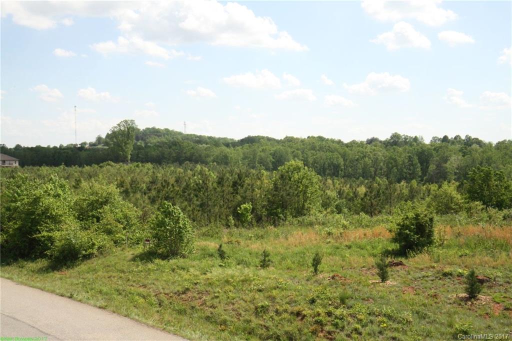 0 Brass Rail Road, Unit 4 Inman, SC 29349 - Photo 7 of 7