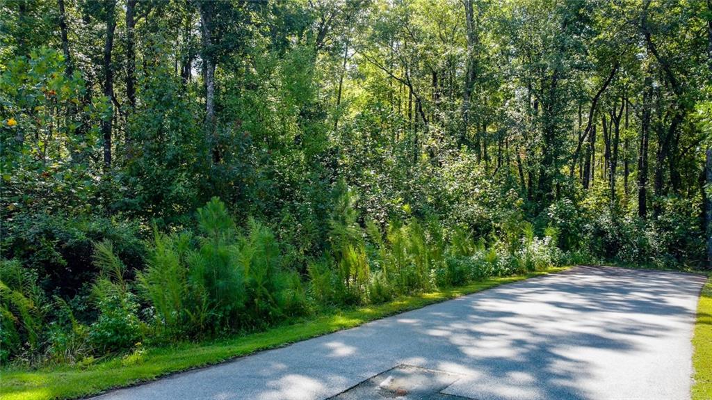 Lot 30 Harbor Point Seneca, SC 29672 - Photo 2 of 12 A tranquil wooded lot with abundant greenery, providing a private natural setting.